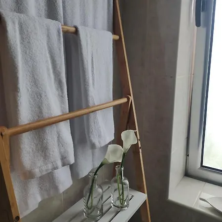 Palmtree 37 Al アパート