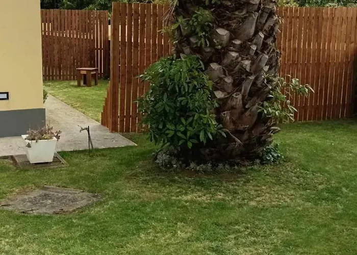 Palmtree 37 Al Lejlighed Praia da Vitória