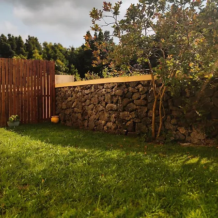 Palmtree 37 Al 아파트 *